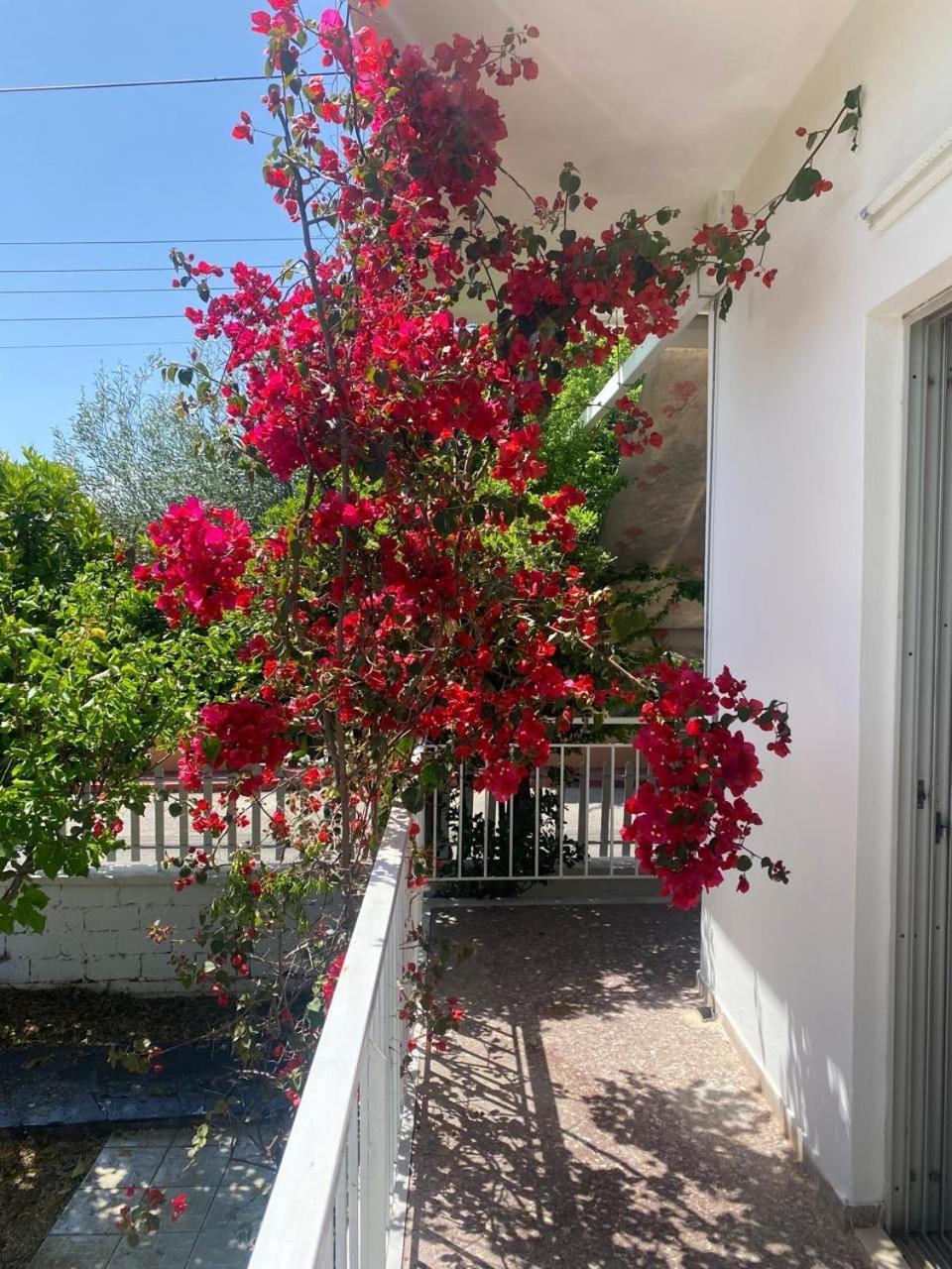 Cosy Spot Near The Only 45 Min From Athens Dhílesi