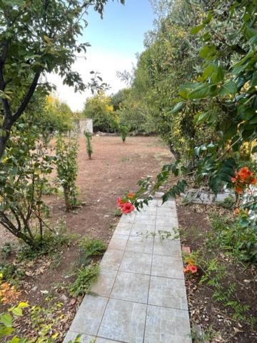 Cosy Spot Near The Only 45 Min From Athens