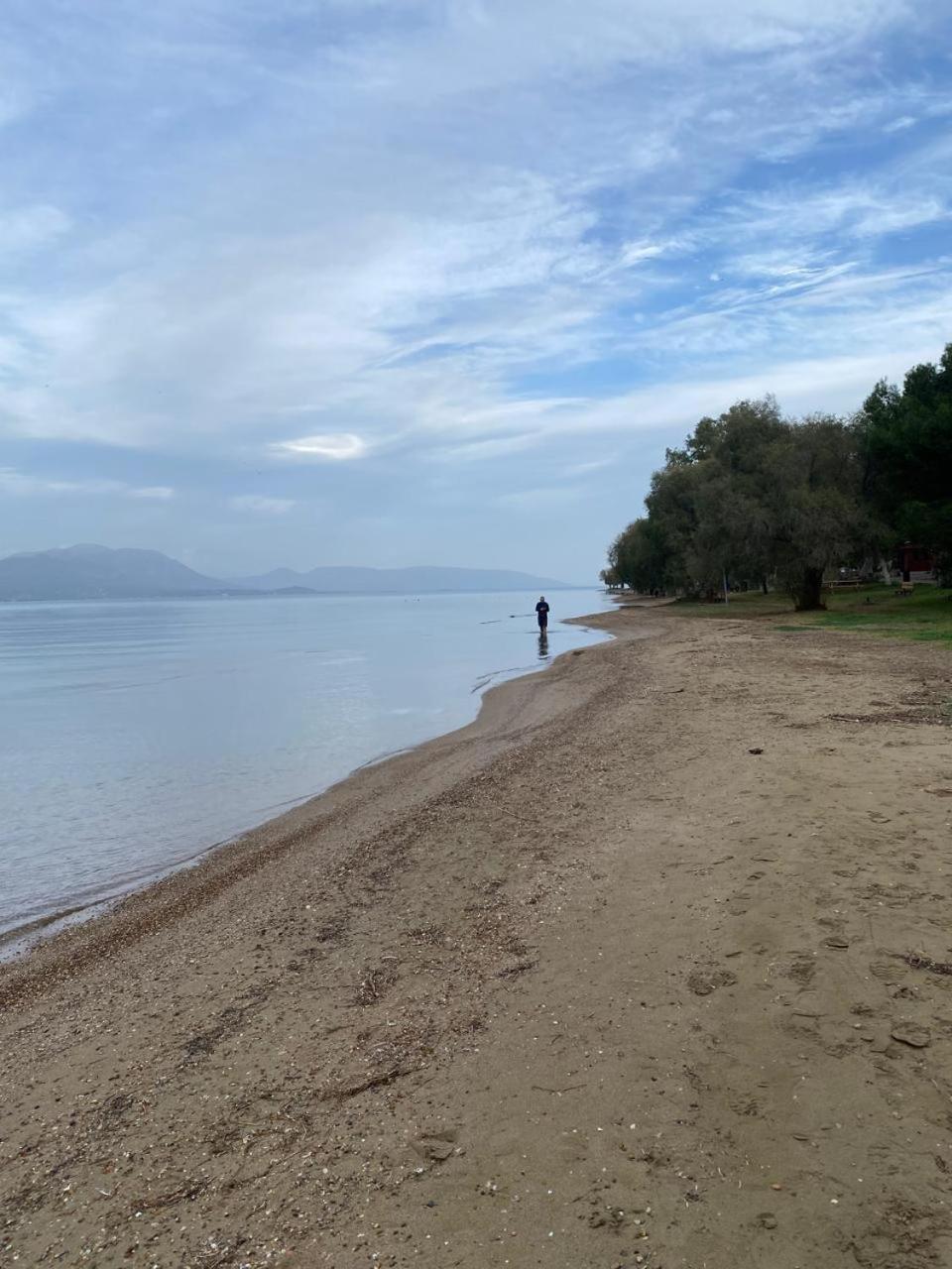 Cosy Spot Near The Only 45 Min From Athens