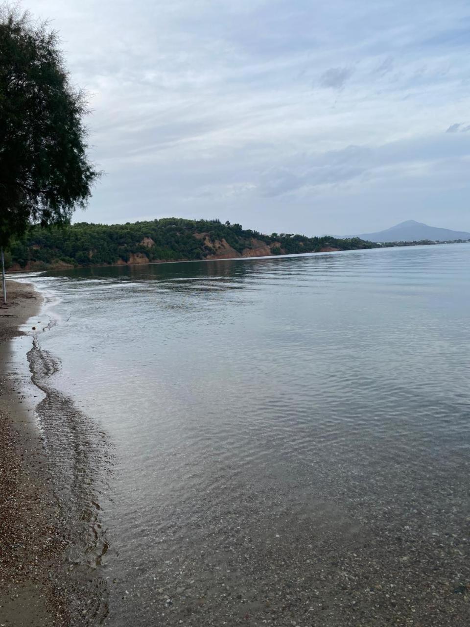 Cosy Spot Near The Only 45 Min From Athens * Δήλεσι