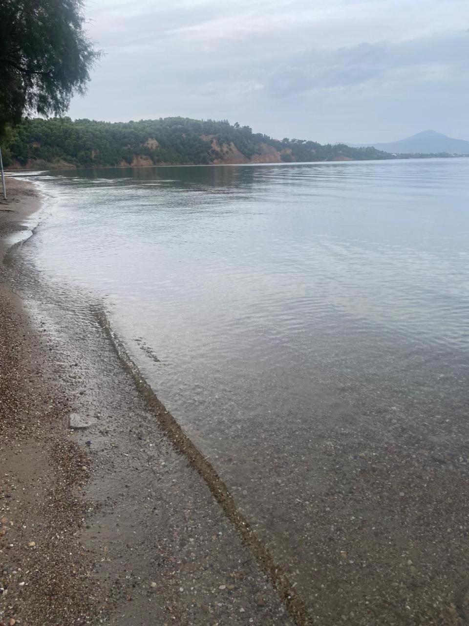 Cosy Spot Near The Only 45 Min From Athens Σπίτι διακοπών