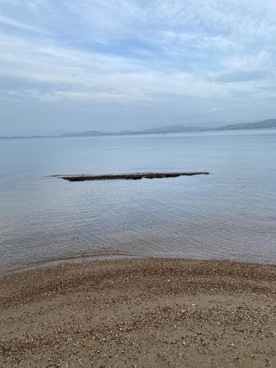 Cosy Spot Near The Only 45 Min From Athens Δήλεσι