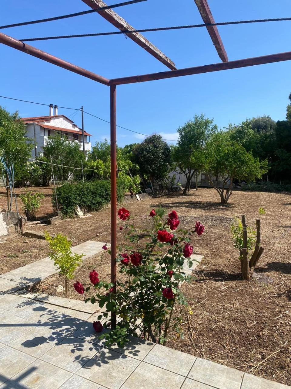 Σπίτι διακοπών Cosy Spot Near The Only 45 Min From Athens Δήλεσι