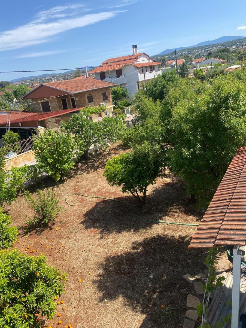 Cosy Spot Near The Only 45 Min From Athens Ferienhaus *