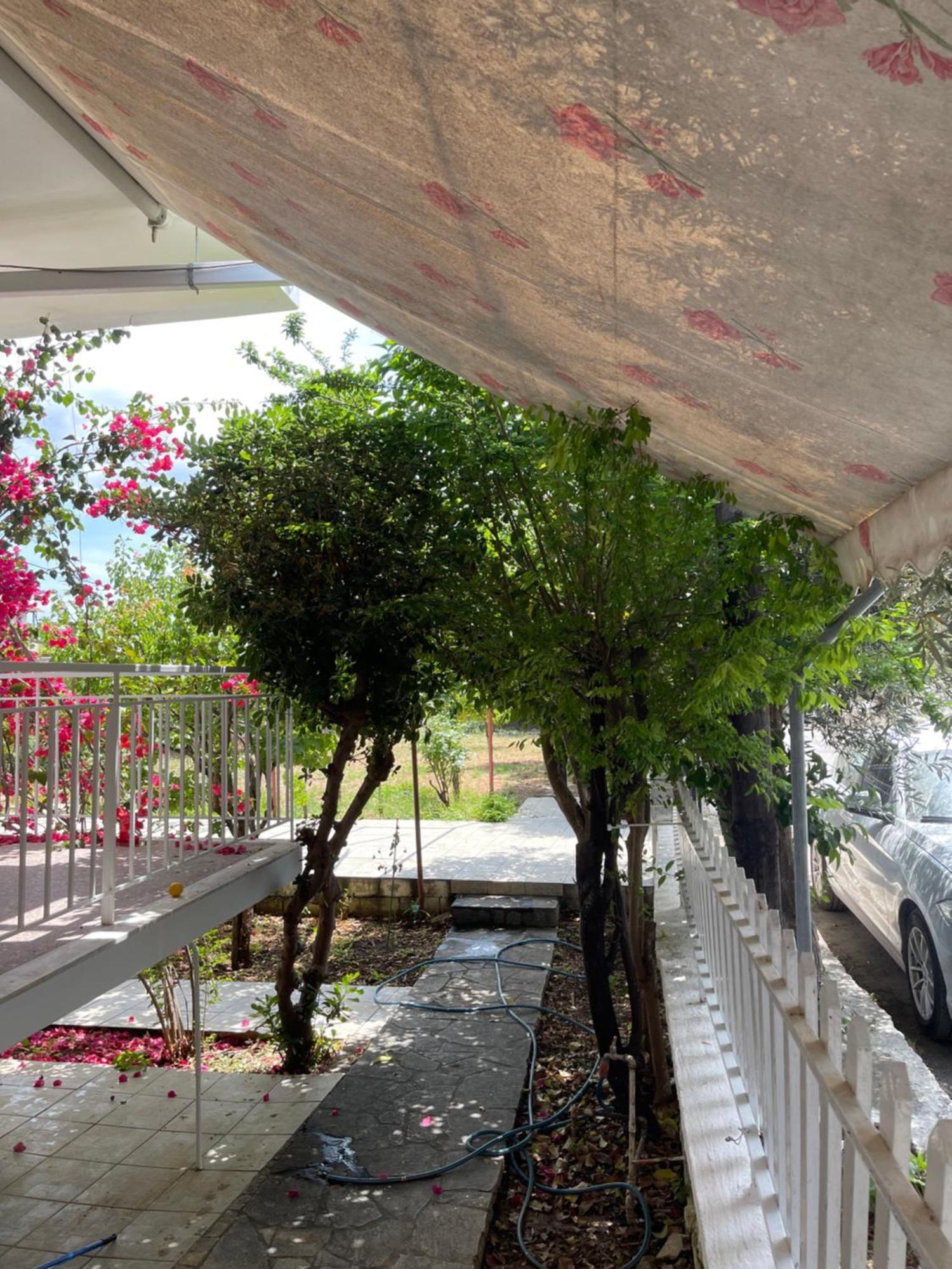 Cosy Spot Near The Only 45 Min From Athens Ferienhaus
