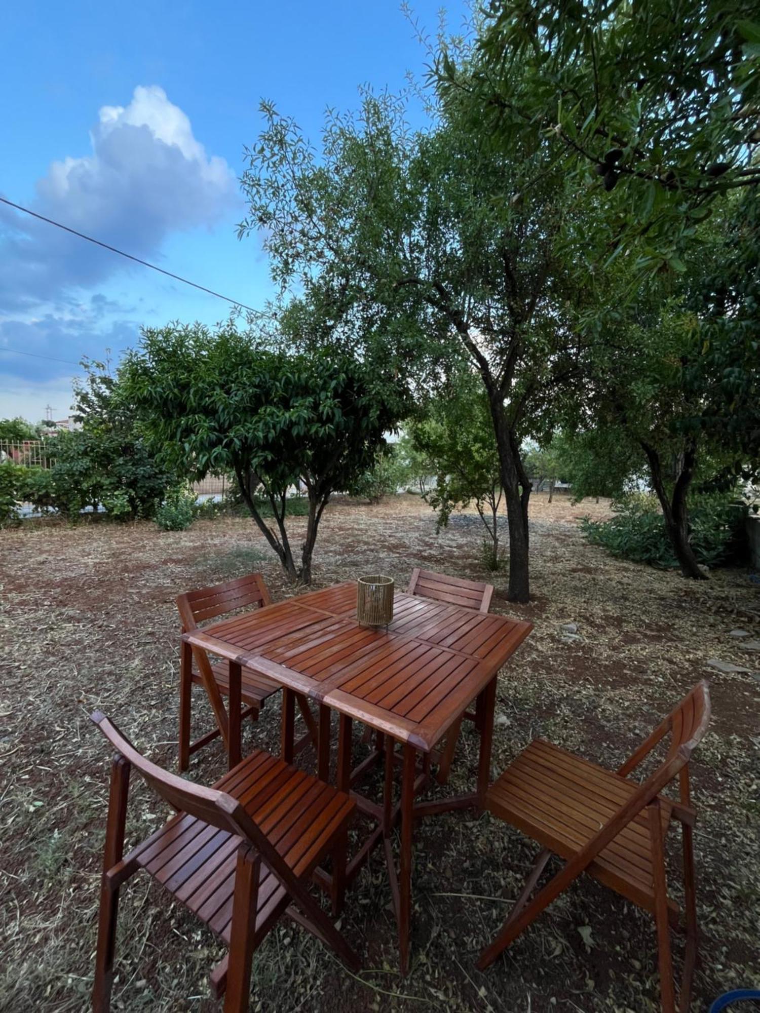 Cosy Spot Near The Only 45 Min From Athens